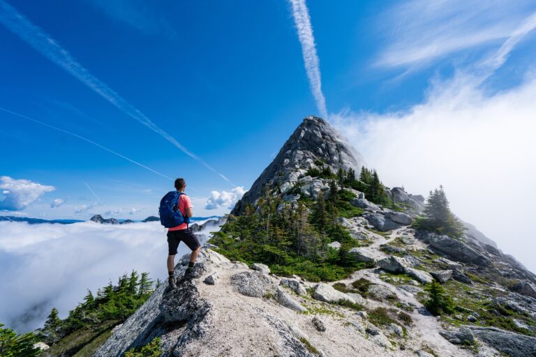 Best Hiking Day Packs of 2024: An Honest Review and Buyer’s Guide