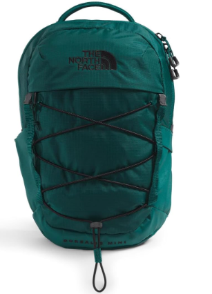 THE NORTH FACE 10L Mini Borealis